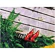 Wizard of Oz Wicked Witch of the East Canvas Print